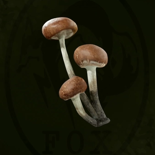 メタルギアデルタ_エゾテングダケ_アイコン